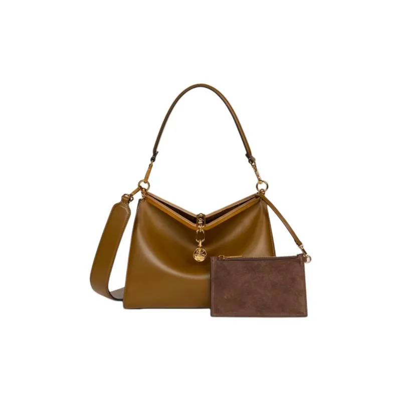 ETRO Calfskin Shoulder Bag, Crossbody Bag, Handbag Medium Size Women's Coffee-1