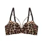 Leopard Print