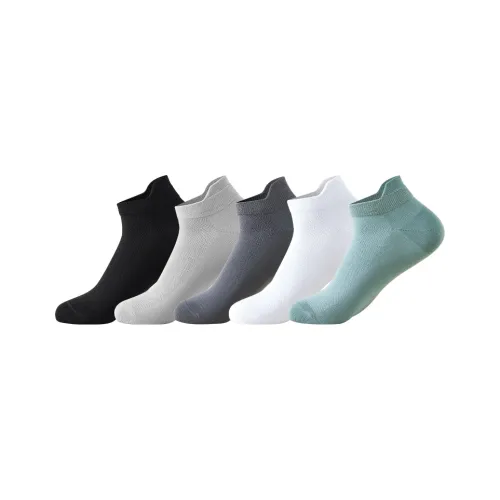 Caramella No Show Socks Men's 5 Pack