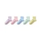 5 Pack Multicolor