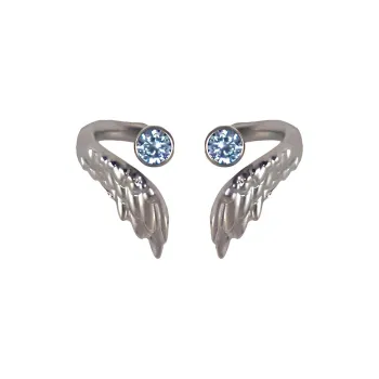 QIANFANGDAHUANGYE Zircon Stud Earrings Unisex