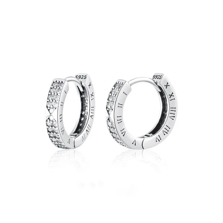 AEMC S925 Silver Earrings Unisex-4