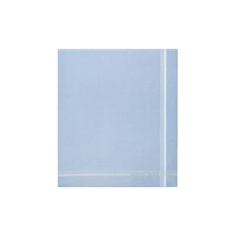 HERMES Cotton Silk Scarves Unisex Sky Blue-1