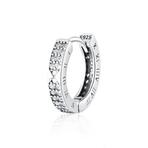 AEMC S925 Silver Earrings Unisex-0