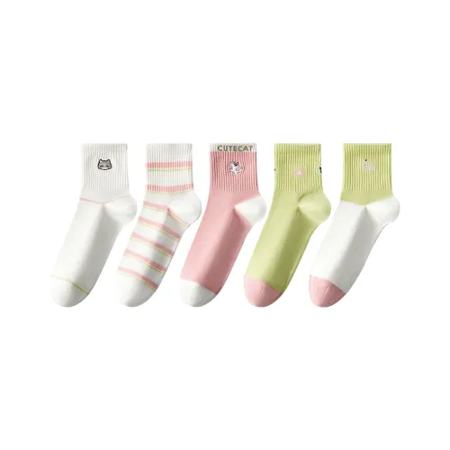Caramella Mid Calf Socks Women's 5 Pack