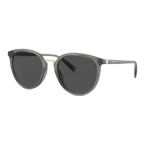 COACH Round Sunglasses Men's Transparent Green