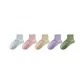5-Pack Multicolor
