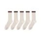 [5 Pack·Mesh Odor-Resistant Breathable]5 Pack White