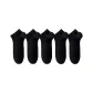 Black 5