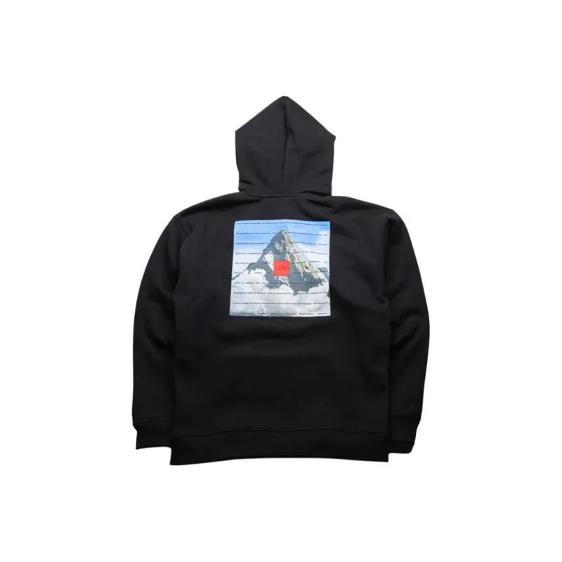 THE NORTH FACE 40TH Anniversary Mountain Hoodie-1