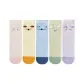 Light Pink+Light Yellow+Light Blue+Light Green+Light Purple