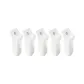5 White Bunny