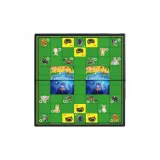 Magnetic Animal Chess