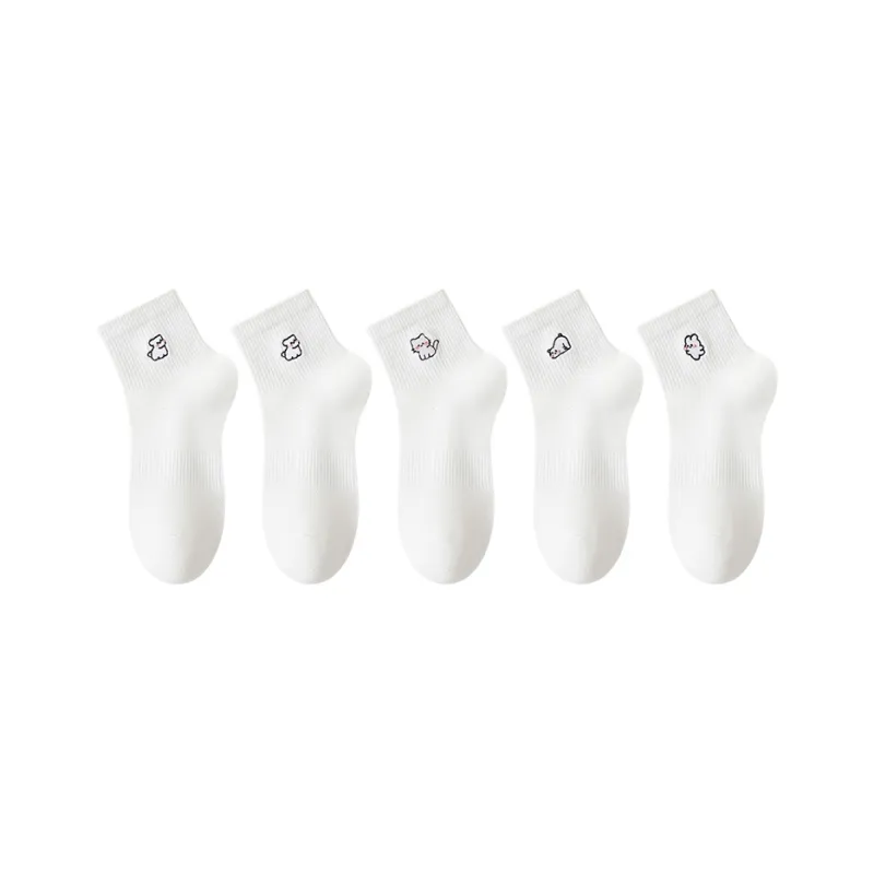 GRACEWELL Ankle Socks Women's Combo Set-6