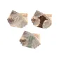Ivory+Brown+Light Green (3-2)