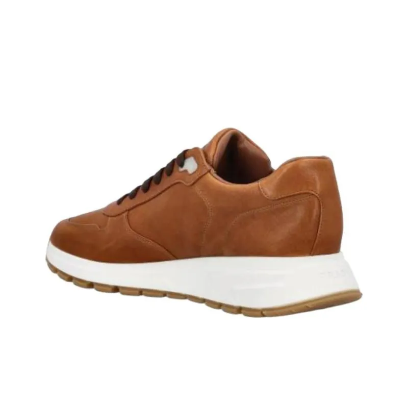 PRADA Low Top Casual Shoes Men's Brown-3