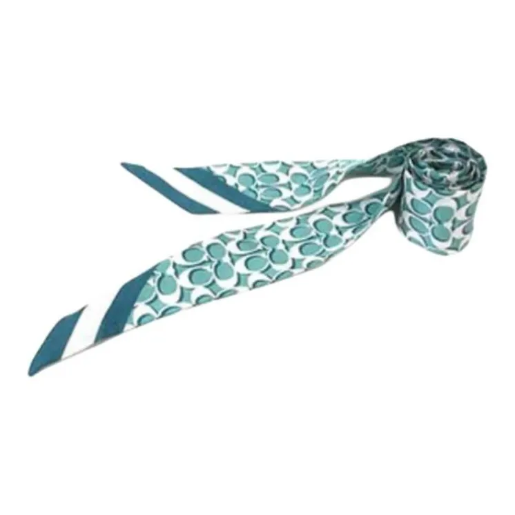 COACH Silk Scarves Women's Blue-3