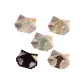 Ivory+Beige Yellow+Light Green+Black+Brown (5-2)