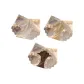 Ivory+Yellow+Brown (3-5)
