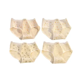 Close fitting Areas Underpants Women's 4 Pack