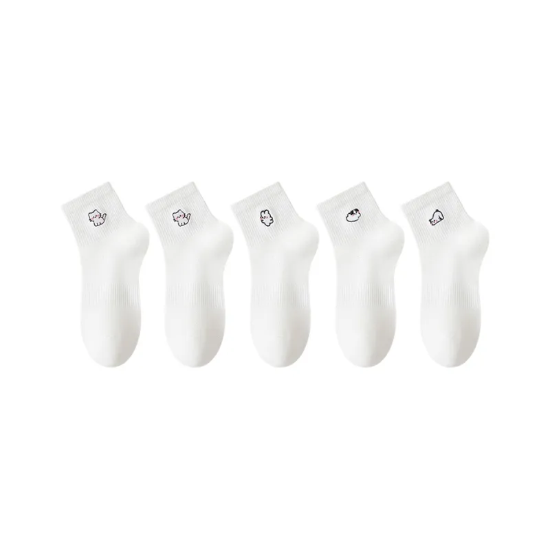 GRACEWELL Ankle Socks Women's Combo Set-12