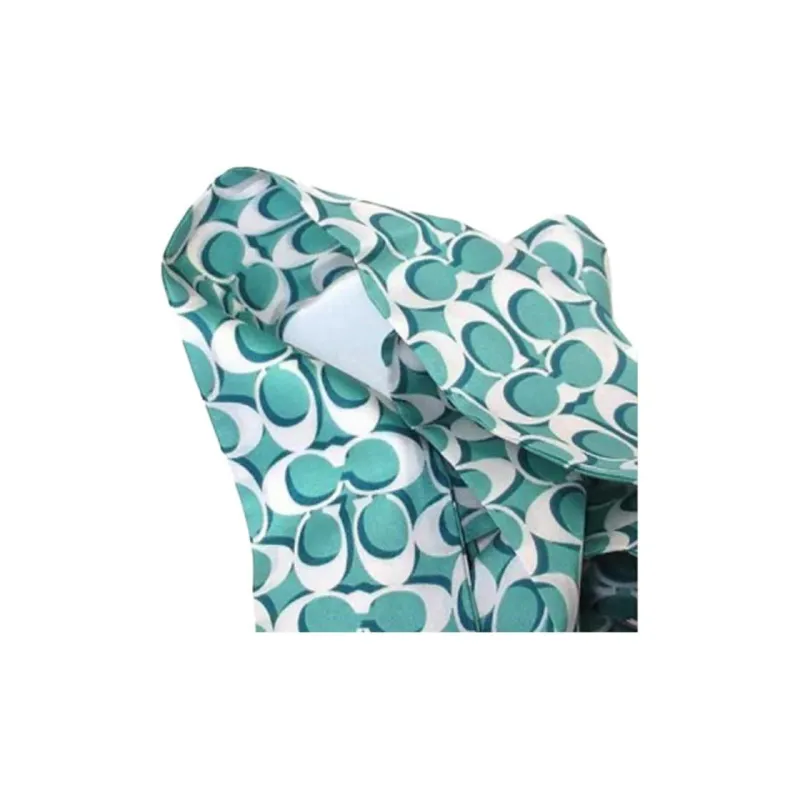 COACH Silk Scarves Women's Blue-2
