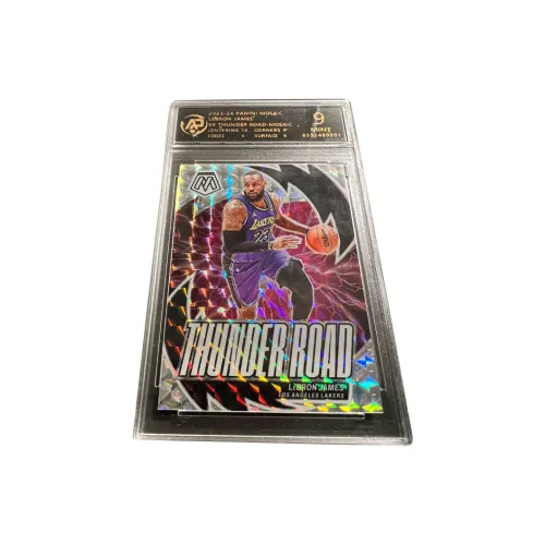 PANINI Graded Cards