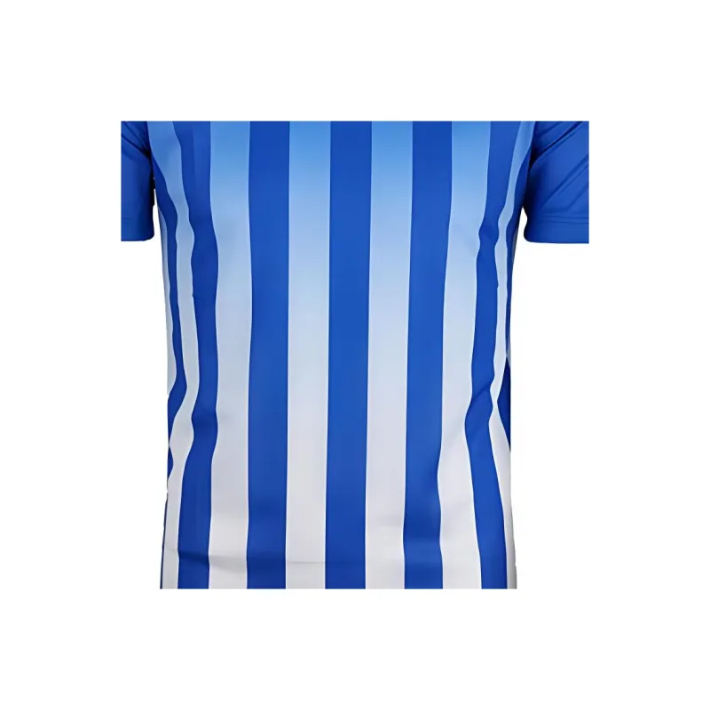 Nike Soccer Jerseys Men Blue-2