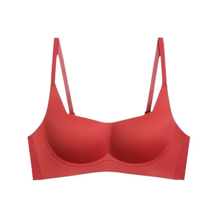 Herbal primer Women's Bras-2