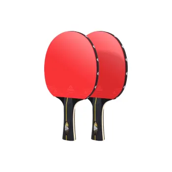 PEAK Ping Pong Paddles
