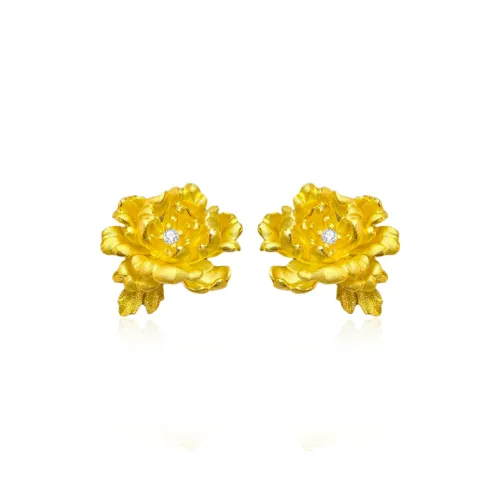 Love Link 925 Sterling Silver Earrings Women's