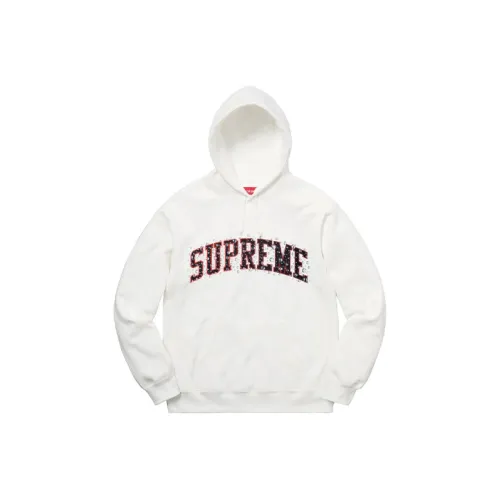 Supreme Water Arc Hooded Sweatshirt