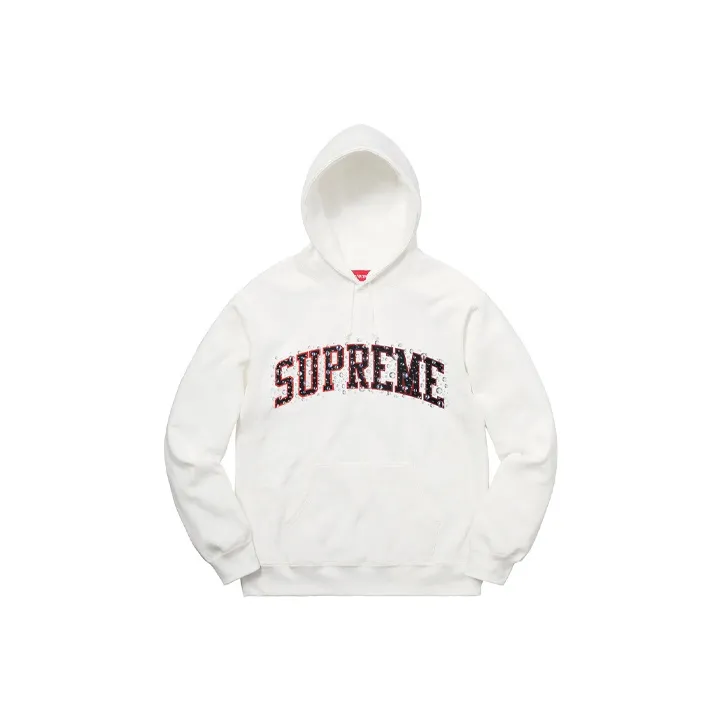 Supreme Water Arc Hooded Sweatshirt-0