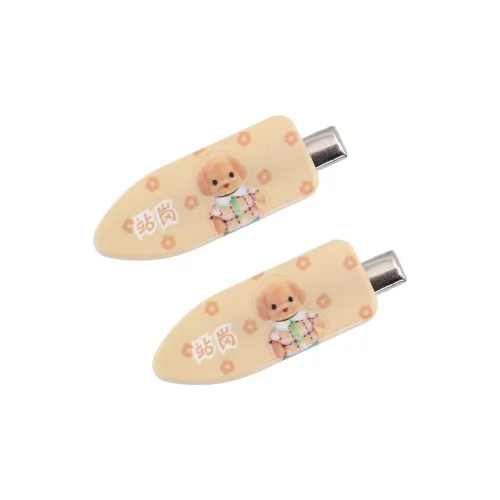 ZANC Acrylic Hair Clips Women's