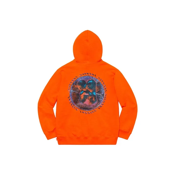 Supreme Embryo Hooded Sweatshirt-9
