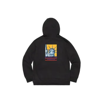 Supreme The North Face Statue Of Liberty Hooded Sweatshirt
