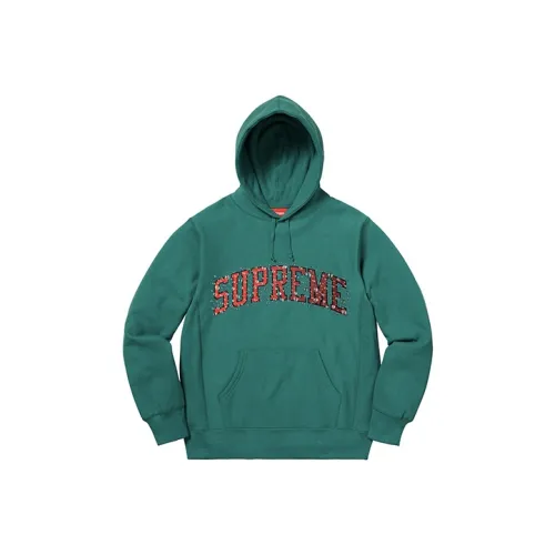 Supreme Water Arc Hooded Sweatshirt