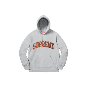 Supreme Water Arc Hooded Sweatshirt