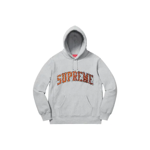 Supreme Water Arc Hooded Sweatshirt