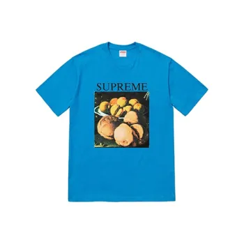 Supreme Still Life Tee