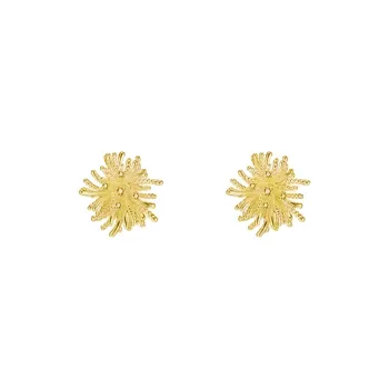 WAW Gold Plated Copper Zircon Earrings Women's
