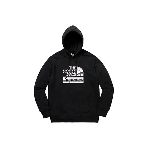 Supreme The North Face Metallic Logo Hooded Sweatshirt-0