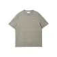 E06 Gray Green