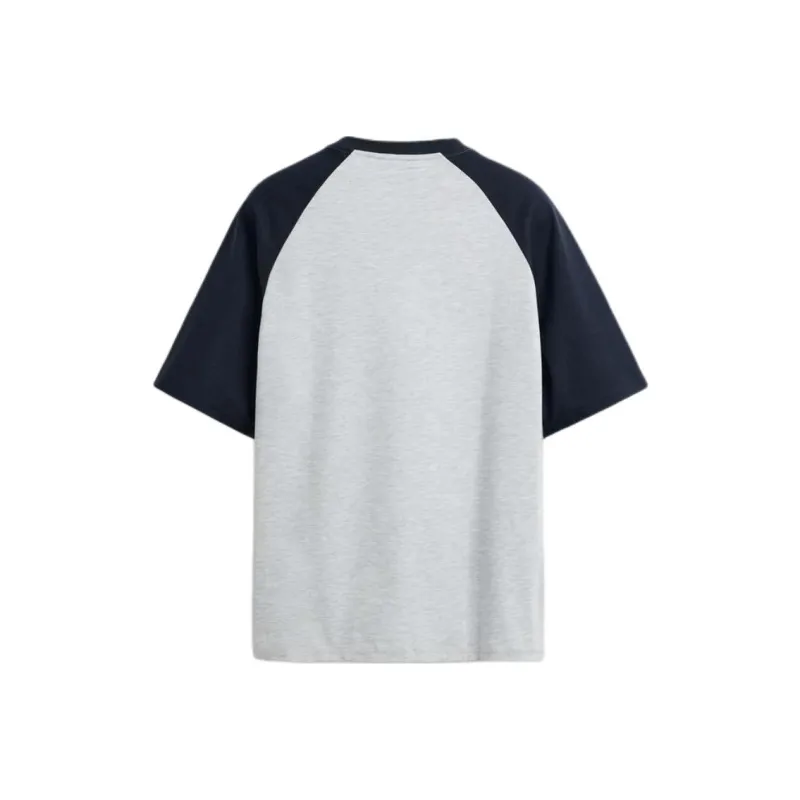 ZARA T Shirt Men's Zebra Print Gray-1