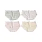 4 Pack[Green, Gray, Cherry Blossom Pink, Custard]