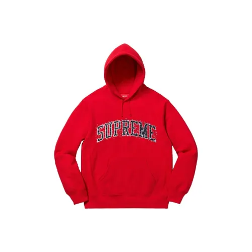 Supreme Water Arc Hooded Sweatshirt
