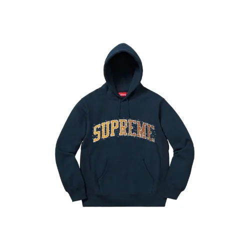 Supreme Water Arc Hooded Sweatshirt