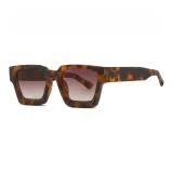 Tortoiseshell Tea Brown Lens
