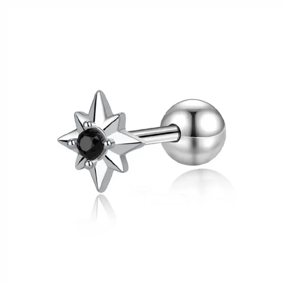 Danqin Silver Plated Stud Earrings Unisex-4