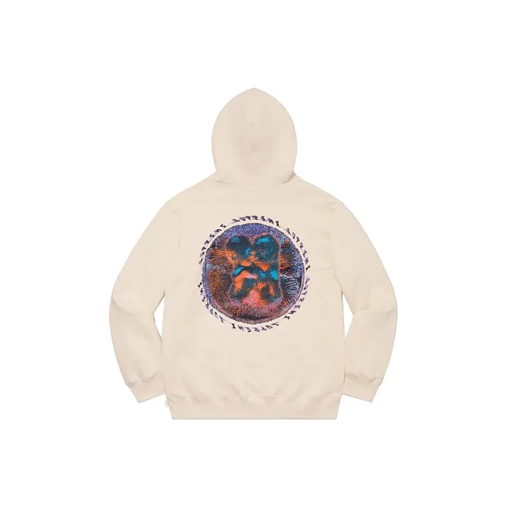 Supreme Embryo Hooded Sweatshirt-3